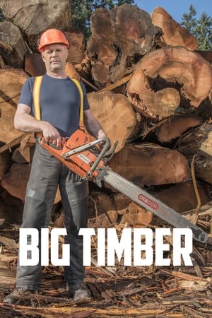 Big Timber