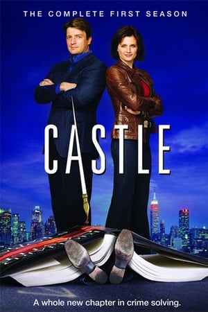 Castle