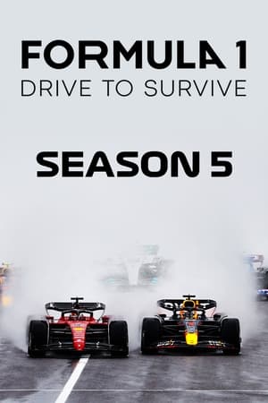 Formula 1: La emoción de un Grand Prix