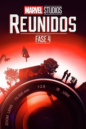 Marvel Studios: Reunidos