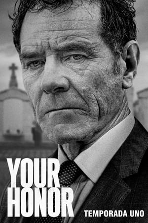 Your Honor Temporada 1
